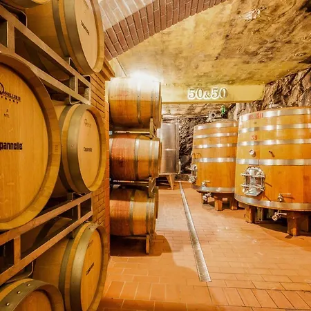 Capannelle Wine Gaiole in Chianti
