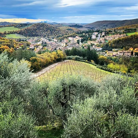 Capannelle Wine *