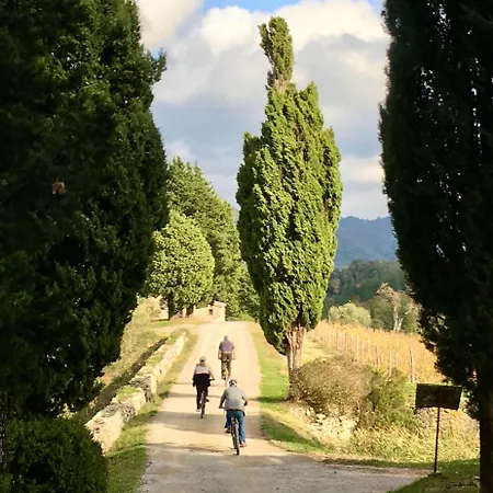 Capannelle Wine Gaiole in Chianti