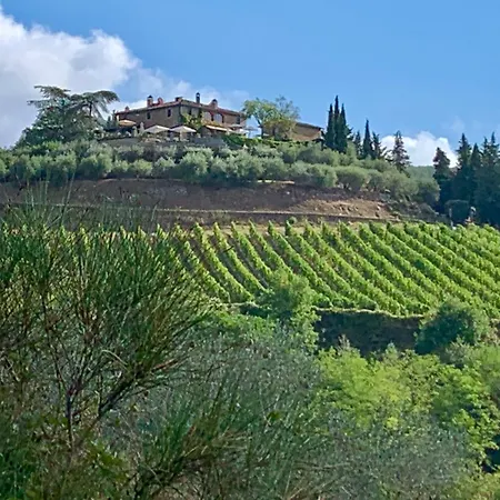 Capannelle Wine Casa di campagna Gaiole in Chianti