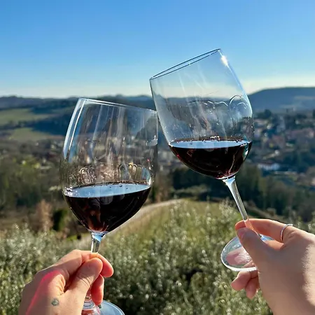 Capannelle Wine Gaiole in Chianti